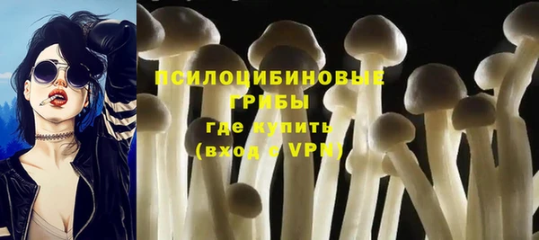 apvp Волоколамск