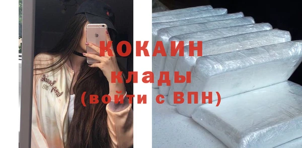 прущие грибы Волосово
