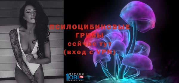 соль ск Верхний Тагил