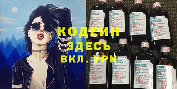 прущая мука Вяземский