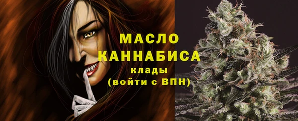 прущая мука Вяземский