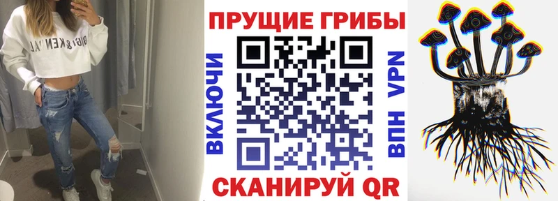цена   Зеленокумск  Псилоцибиновые грибы Cubensis 