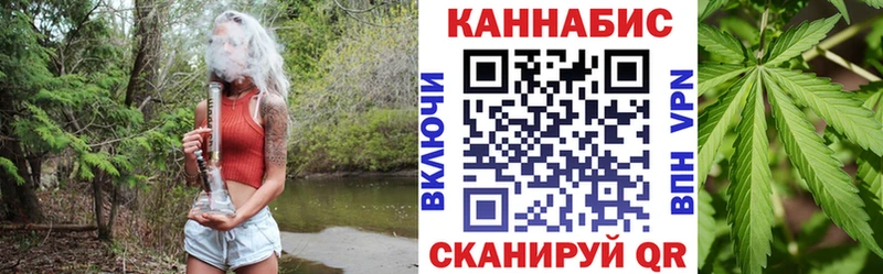 Бошки Шишки THC 21%  купить закладку  Зеленокумск 